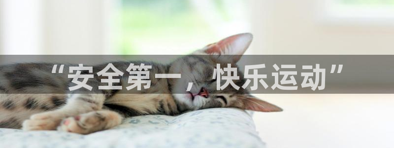 ug环球官网