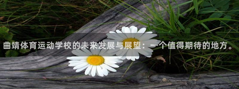 ug环球官网登录入口：曲靖体育运动学校的未来发展与展望：一个值得期待的地方。