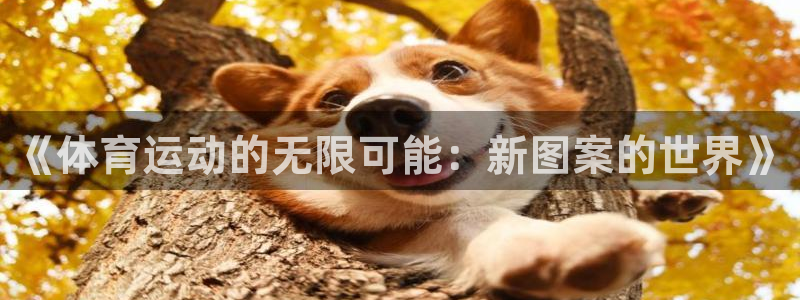 ug环球官网：《体育运动的无限可能：新图案的世界》