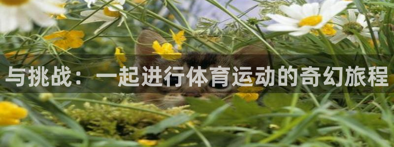 ug环球官网：与挑战：一起进行体育运动的奇幻旅程