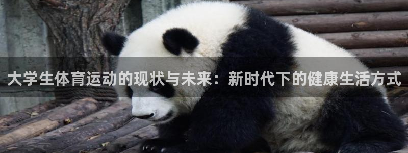 ug环球官网：大学生体育运动的现状与未来：新时代下的健康生活方式