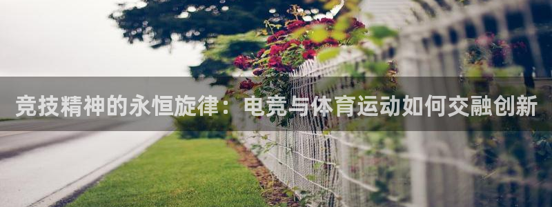 ug环球官网注册：竞技精神的永恒旋律：电竞与体育运动如何交融创新