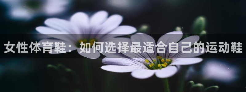 ug环球官网：女性体育鞋：如何选择最适合自己的运动鞋