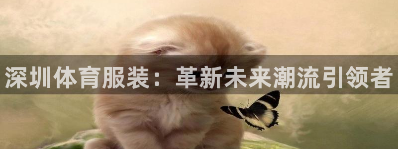 ug环球官网注册：深圳体育服装：革新未来潮流引领者