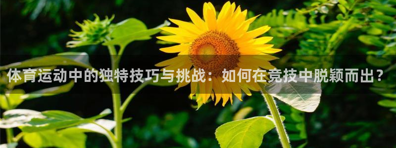 ug环球官网：体育运动中的独特技巧与挑战：如何在竞技中脱颖而出？